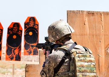 Training Team Whiskey – Combat Marksmanship