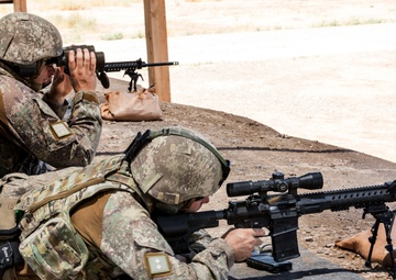 Training Team Whiskey – Combat Marksmanship