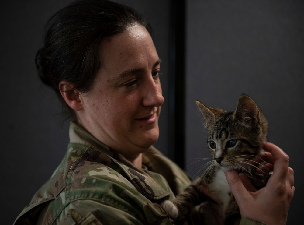Airman looks out for ‘undercats’