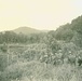World War II, New Guinea, Aitape, Army