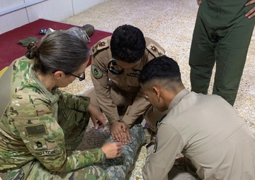The 244th CAB helps mentor Iraqi Pilots