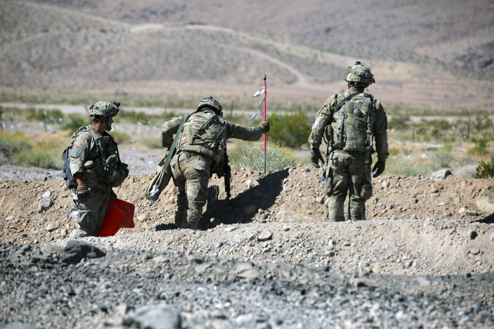 Operation Hickory Sting - 30th ABCT Live Fire NTC 19-09