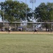 Softball Championship