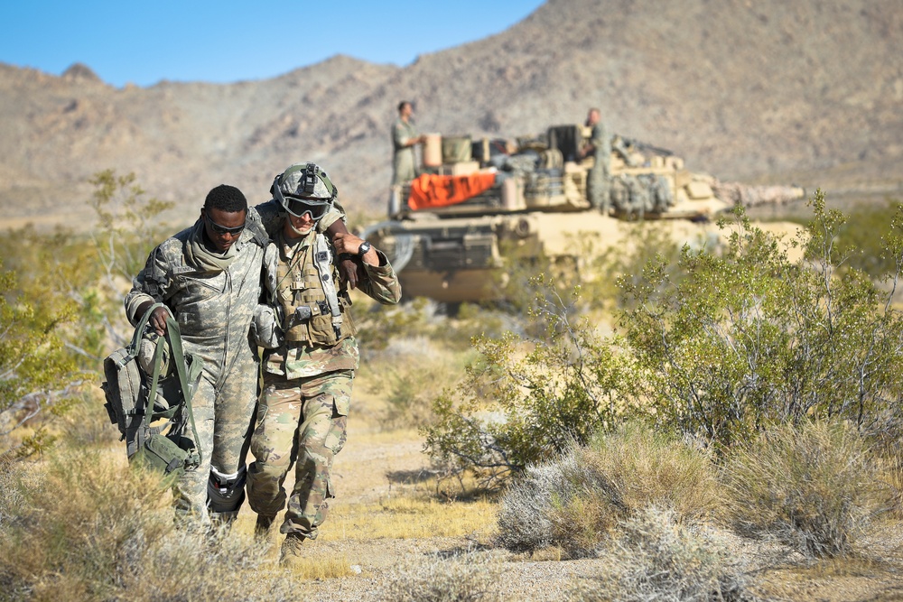 Operation Hickory Sting - 30th ABCT at NTC