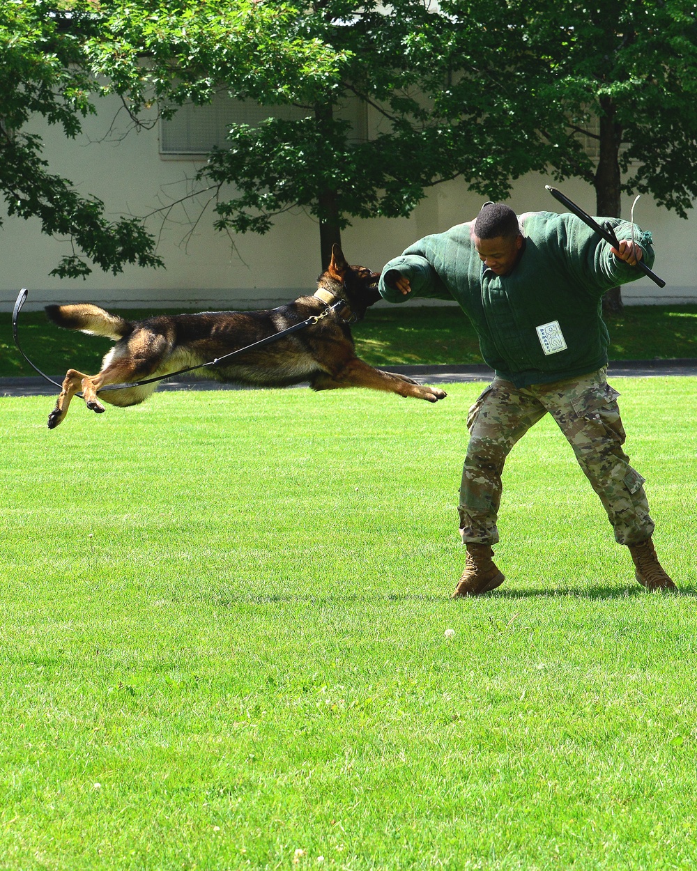 Army Military Police Working Dogs Train in Germany