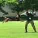 Army Military Police Working Dogs Train in Germany