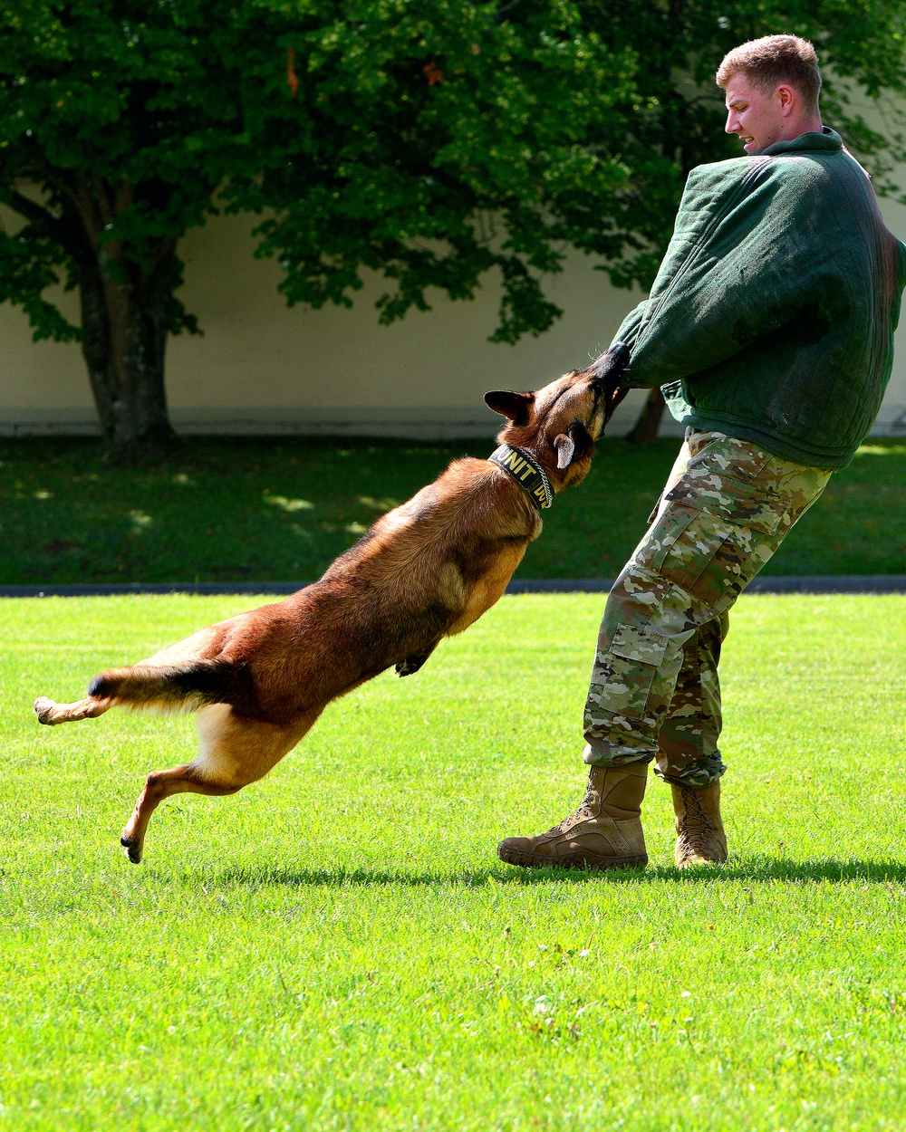 Army Military Police Working Dogs Train in Germany