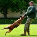 Army Military Police Working Dogs Train in Germany