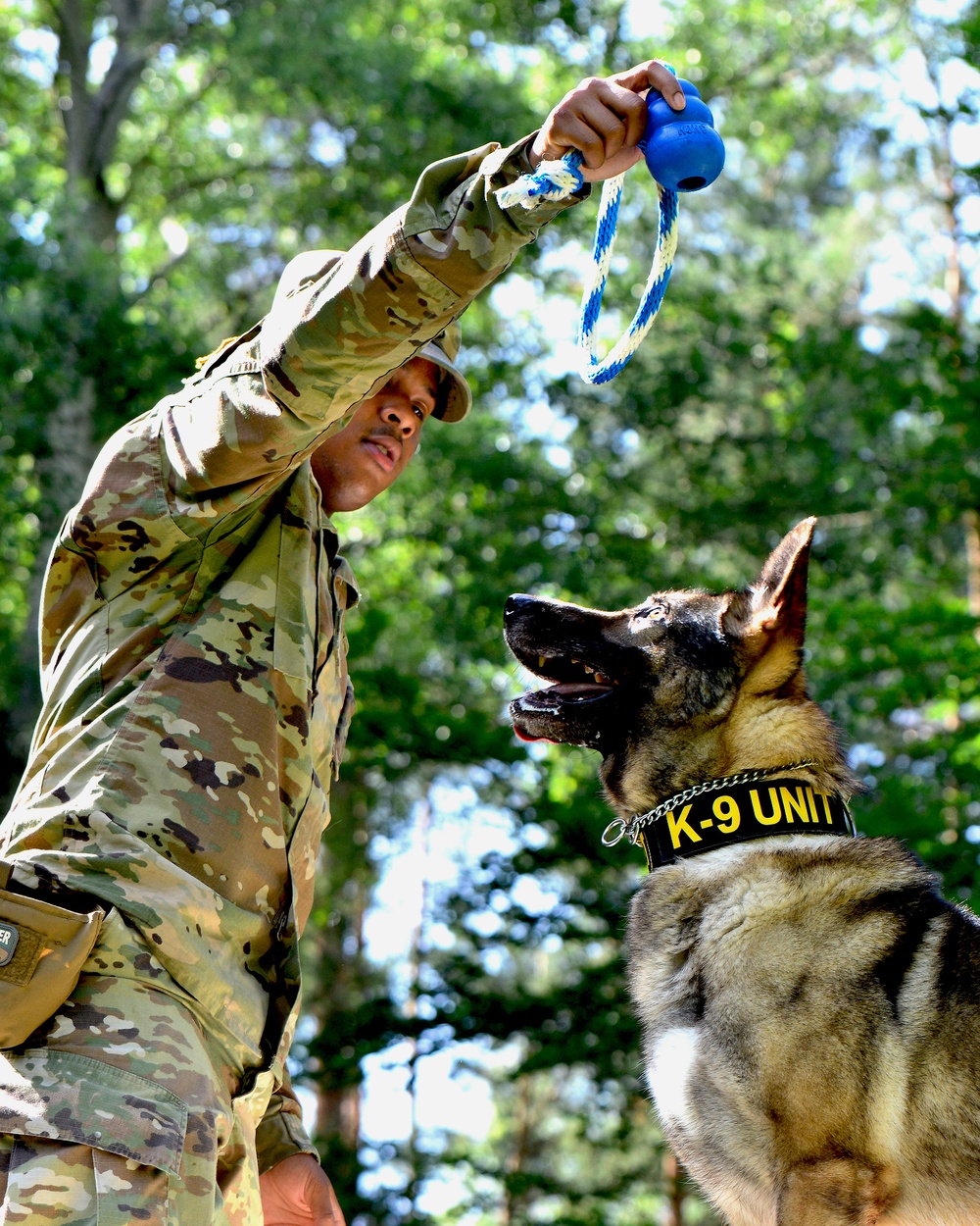 Army Military Police Working Dogs Train in Germany