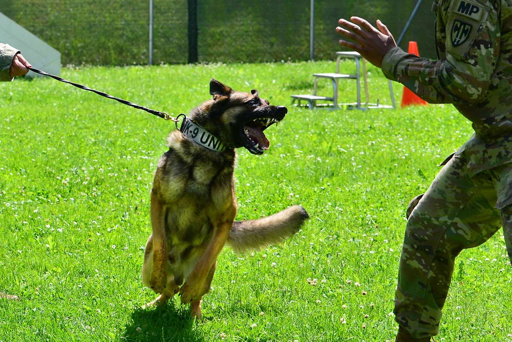 Army Military Police Working Dogs Train in Germany