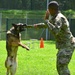 Army Military Police Working Dogs Train in Germany