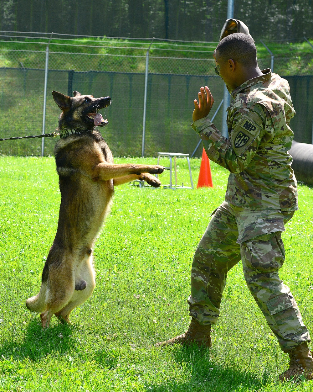 Army Military Police Working Dogs Train in Germany