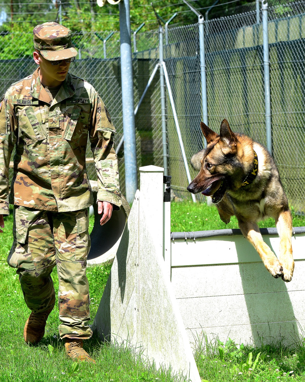 Army Military Police Working Dogs Train in Germany