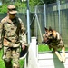 Army Military Police Working Dogs Train in Germany