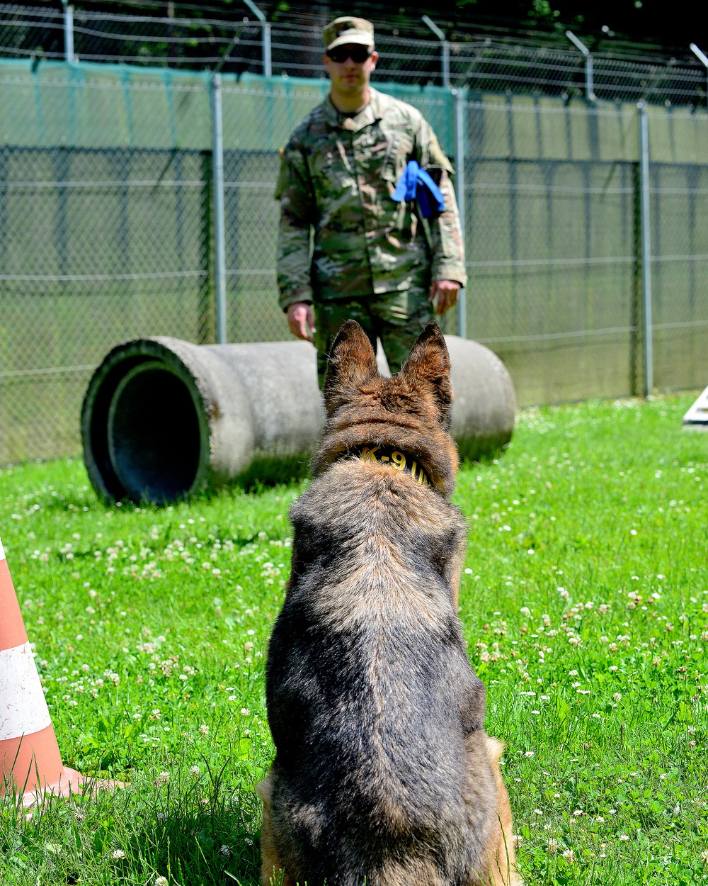 Army Military Police Working Dogs Train in Germany