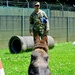 Army Military Police Working Dogs Train in Germany