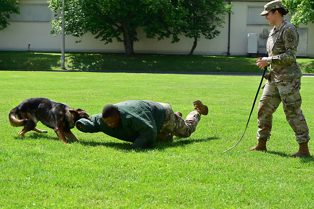 Army Military Police Working Dogs Train in Germany