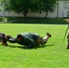 Army Military Police Working Dogs Train in Germany