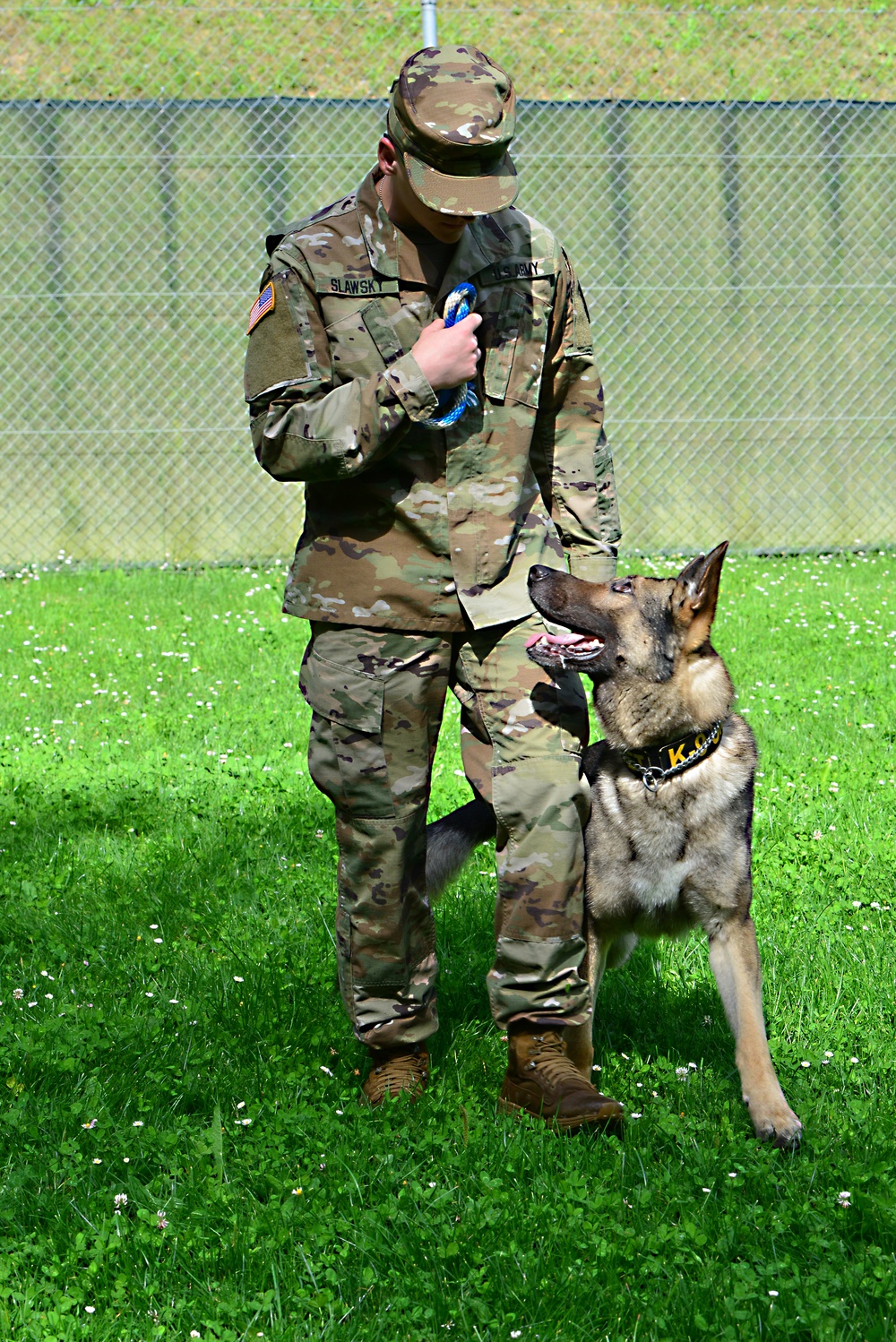 Army Military Police Working Dogs Train in Germany