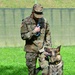 Army Military Police Working Dogs Train in Germany