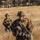 Multinational forces in the field; Talisman Saber 2019