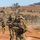 Multinational forces in the field; Talisman Saber 2019