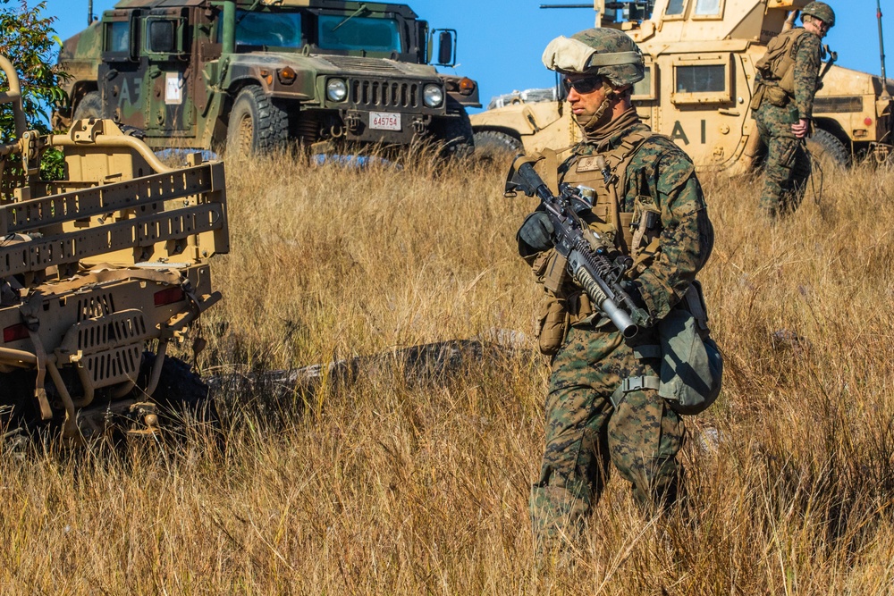 Multinational forces in the field; Talisman Saber 2019