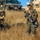 Multinational forces in the field; Talisman Saber 2019