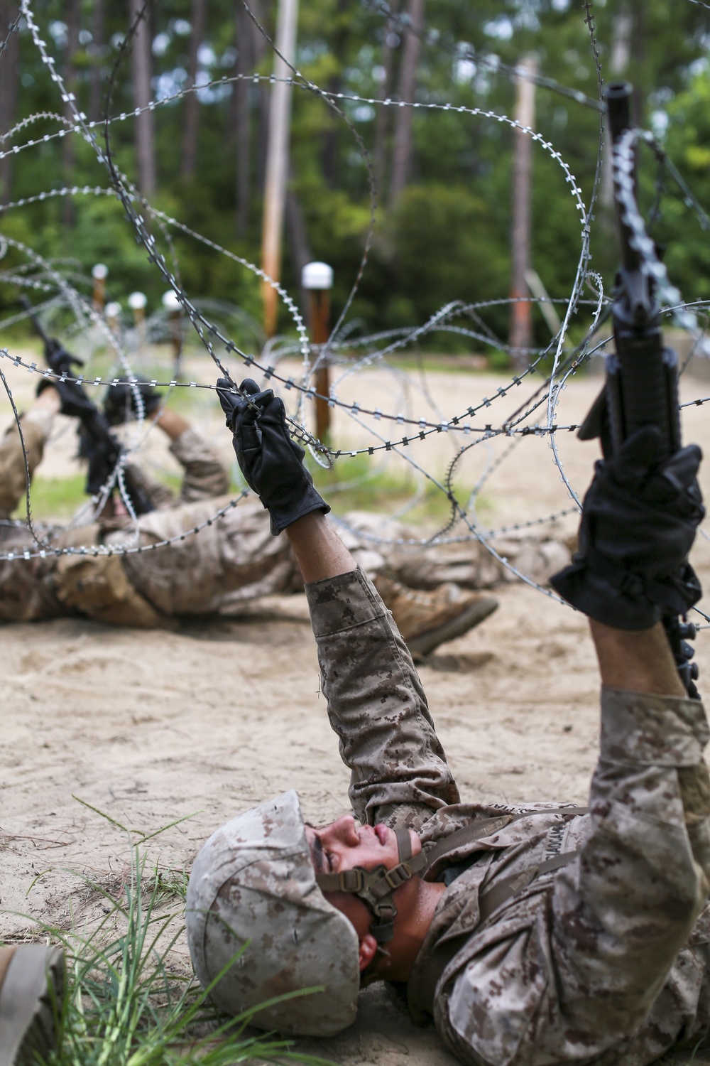 Fox Company Day Movement Course