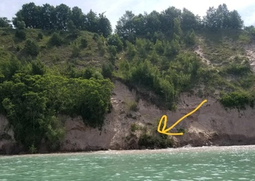 Coast Guard rescues woman, dog from bottom of cliff near Ludington, Mich.