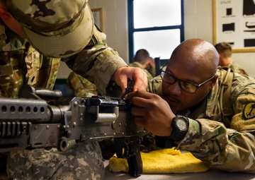 Feeling dangerous: Dental hygienist shoots for new career