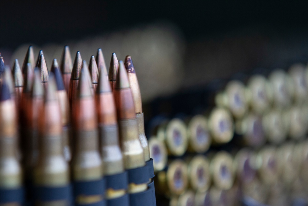 Feeling dangerous: Dental hygienist shoots for new career