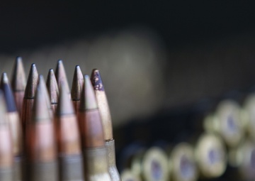 Feeling dangerous: Dental hygienist shoots for new career