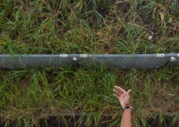 The world looks better from up here