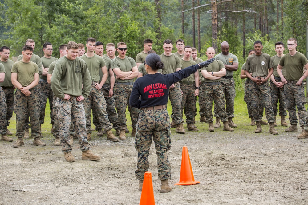 MRF-E 19.2: Non-lethal weapons training