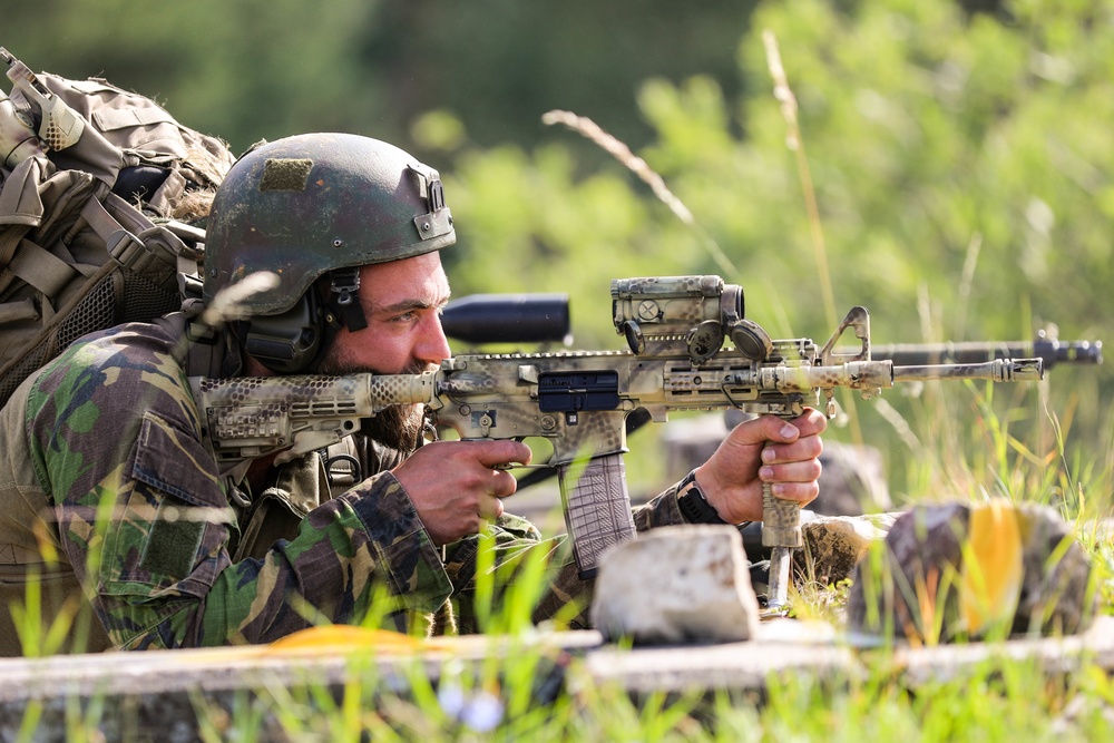 2019 European Best Sniper Competition: Field Fire