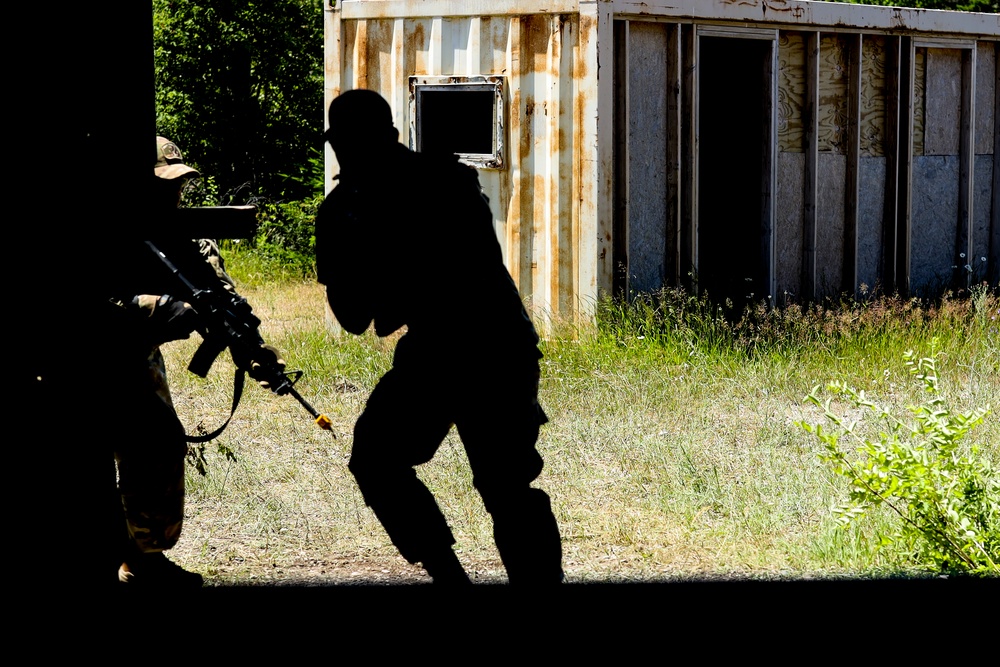 Michigan, Puerto Rico National Guardsmen cooperate at Northern Strike 19