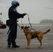 MSST Seattle 91101 K-9s train at Coast Guard Sector Columbia River