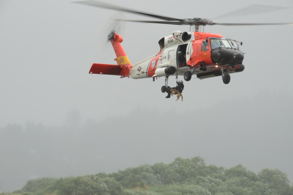 MSST Seattle 91101 K-9s train at Coast Guard Sector Columbia River