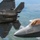 F-22 and F-16 Joint Pacific Alaska Range Complex Flight