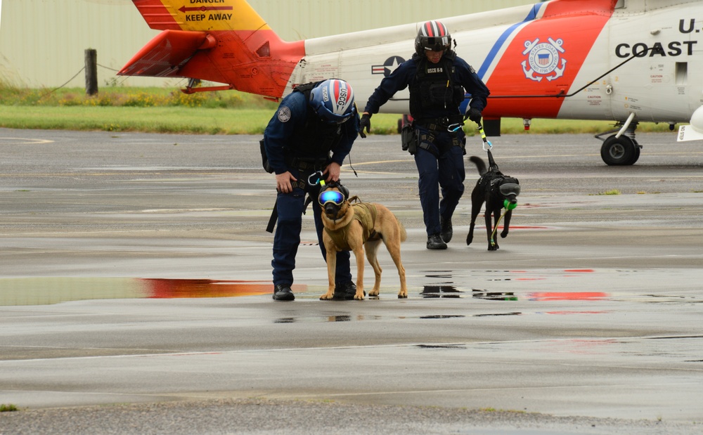 MSST Seattle 91101 canine team trains at Coast Guard Sector Columbia River