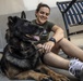 Helping Hands and Wagging Tails: Miramar SMP assists in German Shepherd adoption event