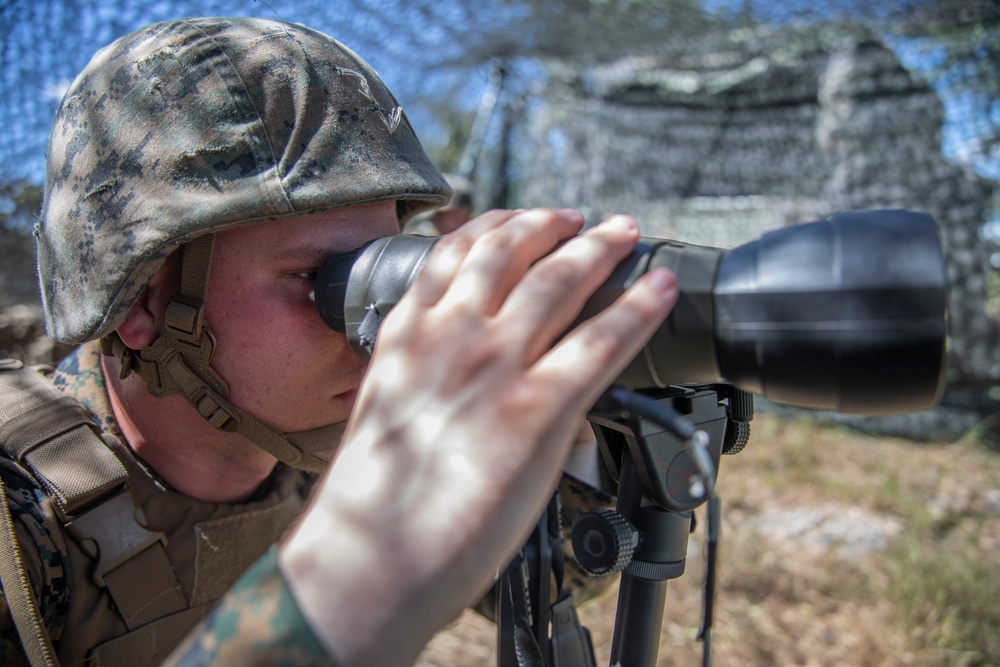 2nd Battalion, 14th Marines conduct their annual training event