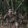 US soldiers trek through jungles with Guatemalan special forces