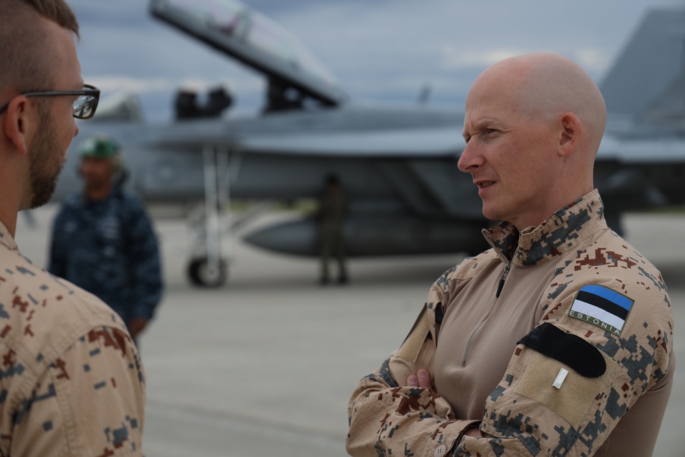 Estonian Air Force observes Northern Strike 19