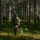 Paralegal training ensures disciplined forces are lethal forces A group of soldiers in camouflage uniforms and helmets are conducting a patrol or training exercise through a pine forest. The lead soldier in the foreground is carrying a rifle and appears alert, scanning the surroundings. At least two additional soldiers are visible in the background, spread out in a tactical formation.