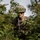 A U.S. Army soldier in full combat gear is positioned within dense shrubbery bearing red berries, appearing to conduct a reconnaissance or patrol exercise. The soldier is wearing ACU/OCP camouflage uniform, a combat helmet, and protective eyewear, and is holding a rifle. The setting suggests a field training exercise or tactical operation in a vegetated environment.