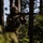 A soldier in full combat gear is aiming a rifle while positioned in a wooded forest environment. The individual is wearing camouflage uniform, a combat helmet, and protective eyewear, suggesting a military training exercise. The red training device visible on the rifle muzzle indicates this is a simulated combat scenario rather than live fire.