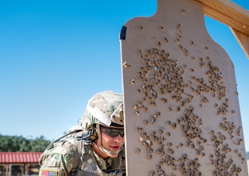 Defense Language Institute's 'Drill Sergeant of the Year' competition