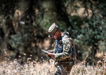 Defense Language Institute's 'Drill Sergeant of the Year' competition